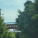 천천와룡자연휴양림 이미지