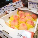 따봉청과 이미지