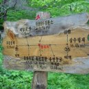 싸리재샘 티스토리