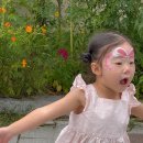 해나유치원 | 페이스페인팅 물감 추천/ 그리다물감으로 즐긴 아기 집콕놀이 후기