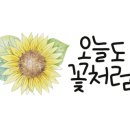 플라워캘리