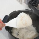 농협김치유통 | 오덕쌀 즐기는 고소한 한 끼, 원주농협 오덕쌀추청미 햅쌀 후기