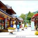 오대산 달빛 이미지