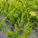 기주농장 이미지