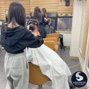 실전 창업전문가 교육과정 | 홍대미용학원 헤어연구반 실전 실습교육, 디자이너 전문가 양성 과정