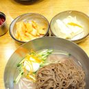 응달촌 | [고양/벽제] 천서리막국수 | 김가루 없는 몇 안되는 귀한 동치미 막국수 #막국수를맛나다 [하나]