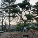 칠보산오리 | 화성백숙 맛집 찾는다면 칠보산토종닭 명절 체력보충 방문 후기