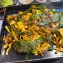 154 | 대구 감삼동 알곱창 맛집 원조 동대문 곱창