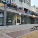 그룸 앤 먼치 | [내돈내산] 미용과정 볼 수 있는 애견미용샵, 위례 그룸앤먼치