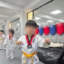 도원태권도장 네이버블로그