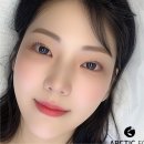 아틱폭스