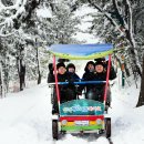 재단법인 울산관광재단 이미지