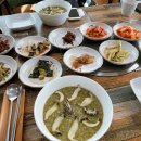 송골수족관