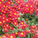 동래원예고등학교 이미지