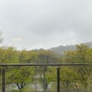 다온호텔 | 전주 숙소 ㅣ (내돈내산) 전주호텔추천! 한옥마을 근처 숙소찾는다면 #다온호텔 찐 후기