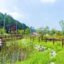 청주시 미래지농촌테마공원 오토캠핑장 이미지