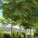 추억 만들기 캠핑장 이미지