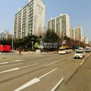 청솔(171) 이미지