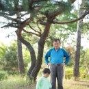 마도근린공원 이미지