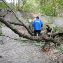 청학12리 이미지