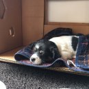 형제농장1호 이미지