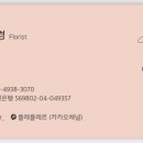 플레플레르