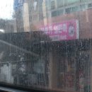 뽑고가리 | 서쪽 제주 (1) - 새별오름, 새별프렌즈, 영아리 카페, 적당한 게스트 하우스 외 곳곳