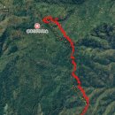 자작나무숲 주차장 이미지