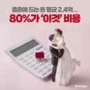 기사 펌) 결혼비용 2.4억 이미지