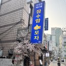 서초대로53길 24 | 교대 회식 <잠수함포차> 두툼한 숙성회와 해물파전이 맛있는 포차