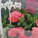 수정꽃마을