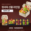 한지청과 | 주부의 명절 필수템! 청과옥 프리미엄 과일바구니 솔직 후기