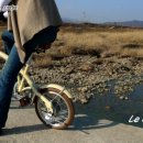 코렉스 자전거 이미지