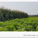 김형익 행정사 사무소 이미지