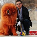 짱오농장 이미지