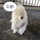 펀치 (Punch)님이 주간인기상 후보에 선정되었습니다. 지금 바로 투표하세요! (멜론) 이미지