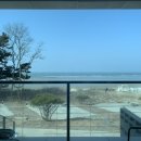 스테이도유 이미지