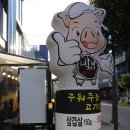 P-5708 | 텍폴맛집, 현풍고기집/ 박대박 왕소금구이 (여기 진짜 대박이야!)