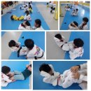 동아대 힘찬 태권도 이미지