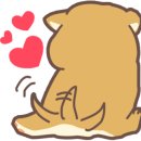 고나카페