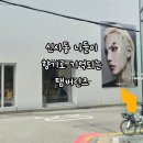 중앙카인테리어 | 향기로 가득한 신사동 나들이 탬버린즈 신사 카 디퓨져 &amp; 향수 시향 후기