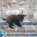 사우중로 이미지