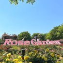 성곡초등학교6 이미지