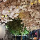 노부스테라 이미지