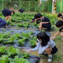 신안중학교 이미지