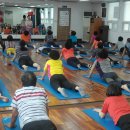 건강요가(화) 이미지