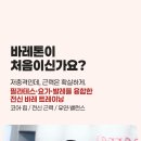 바레톤 네이버블로그