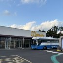 J.S 카케어 | 제주 더세이프렌터카 내돈내산 후기 + 가격비교