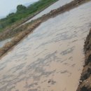 홍연농장 이미지