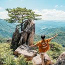 서면 동산 생태공원 이미지